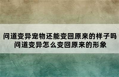 问道变异宠物还能变回原来的样子吗 问道变异怎么变回原来的形象